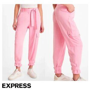 Express Pink High Waisted Cargo Pants